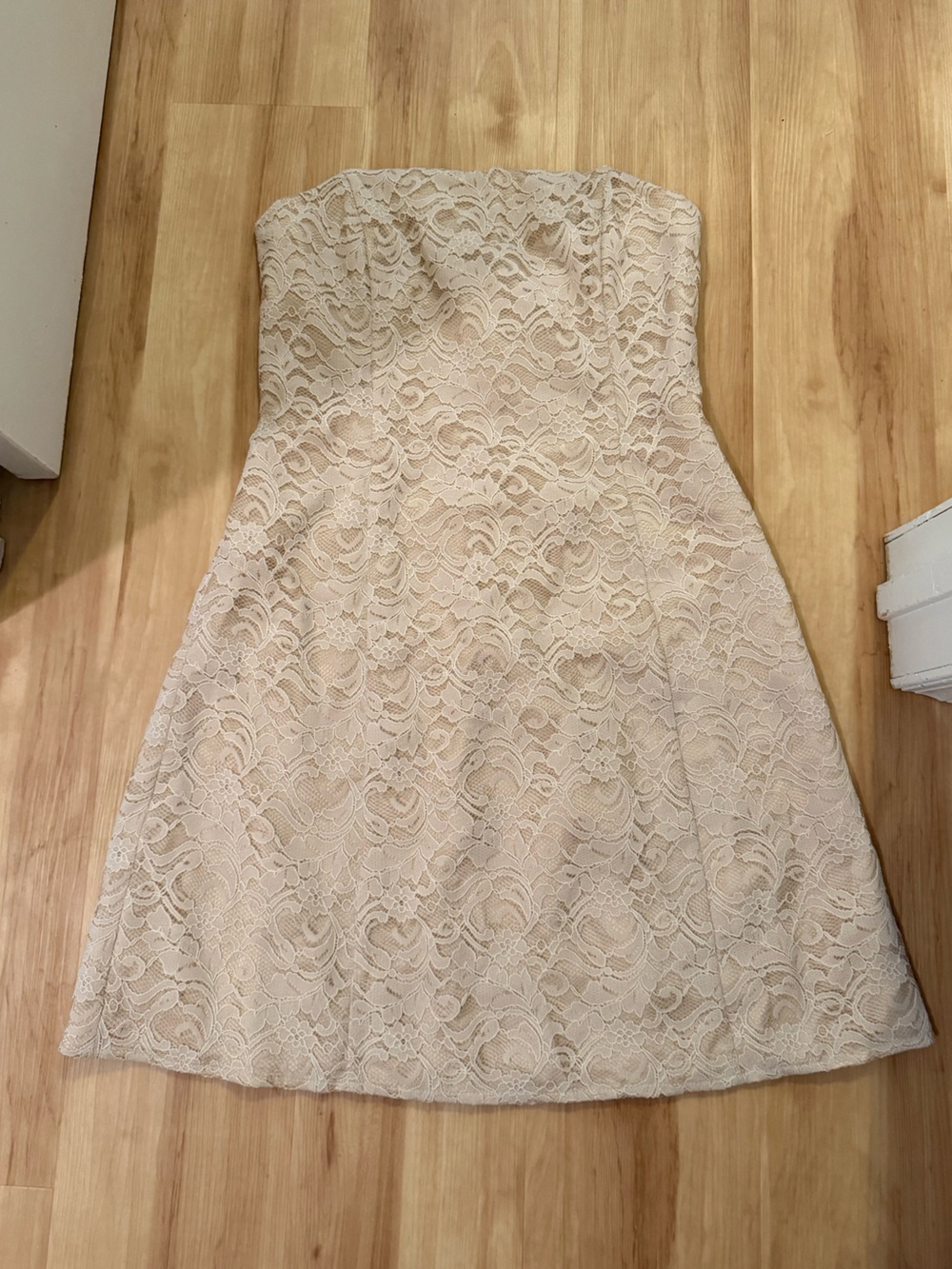 Robin Jordan Strapless Lace A-Line Dress in Cream